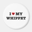 Recherche de whippets magnets Dog