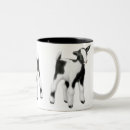 Recherche de chèvre bébé tasses Agriculture