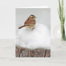 Recherche de moineau vœux cartes Neige