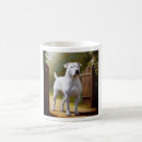 Recherche de dogo tasses Canine