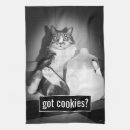 Recherche de humour chat cuisine linges Animal