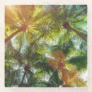 Recherche de noix coco de dessous de verres Tropiques