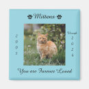 Recherche de perte de mémoire magnets Animal