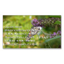 Recherche de papillon pourpre cartes visite Photographie