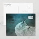 Recherche de bois gris cartes postales Animal
