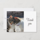 Recherche de chaton toutes vœux cartes Mignon