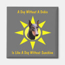 Recherche de pinscher magnets Noir