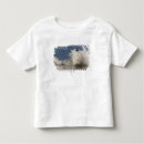Recherche de brouillé tshirts Destinations