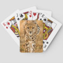 Recherche de mise jeux de cartes Image en couleur