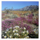 Recherche de paysage de montagne carreaux Fleurs