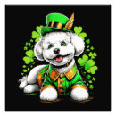 Recherche de chien chanceux posters Irlandais