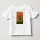 Recherche de érable japonais tshirts Oregon