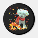 Recherche de écharpe magnets Chiens