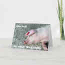 Recherche de drôle porc anniversaire cartes Animaux