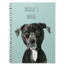 Recherche de pitbull carnets Animaux familiers