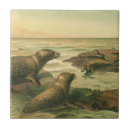 Recherche de vie aquatique carreaux Plage