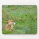 Recherche de baby standard tapis souris Wild