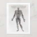 Recherche de andreas vesalius posters B