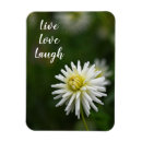 Recherche de vivant magnets Motivation