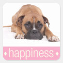 Recherche de chien boxer autocollants Chiots