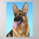 Recherche de langue allemande posters Berger allemand