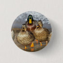 Recherche de canard badges Étang