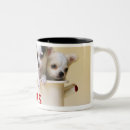 Recherche de chiots de chiwawa tasses Intégral