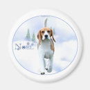 Recherche de beagle magnets Hacher
