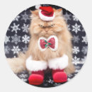 Recherche de humour du père noël autocollants Chat