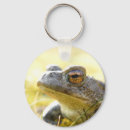Recherche de crapaud porteclés Amphibies