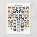 Recherche de graphique papillon cartes postales Ailes