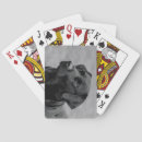 Recherche de labrador noir jeux de cartes Récupérateur