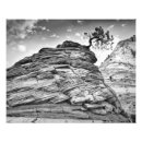 Recherche de bonsaï art Paysage