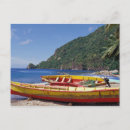 Recherche de greg johnston cartes postales Palmier