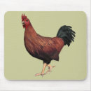 Recherche de poulet rouge tapis souris Oiseau