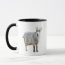 Recherche de têtu tasses Chèvre