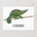 Recherche de caméléons cartes postales Reptile