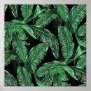 Recherche de plante tropicale posters Sauvage