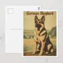 Recherche de chien de berger cartes postales Amoureux des chiens