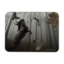 Recherche de foret noire magnets Imaginaire