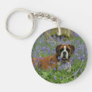 Recherche de jacinthes accessoires Chien