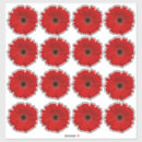 Recherche de gerbera rouge autocollants Floral