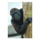 Recherche de zoo de bébé posters Pour tous