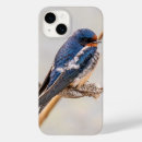 Recherche de hirondelles iphone coques Hirondelle de grange