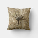 Recherche de arachnide coussins Animaux