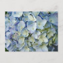 Recherche de beautiful cartes postales Floral