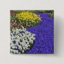 Recherche de jonquille badges Jardin