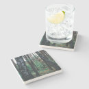 Recherche de birch tree coasters dessous de verres Forêt