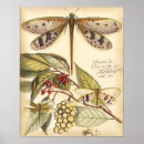 Recherche de le fruit posters Fleurs
