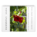 Recherche de fleurs calendriers De noël